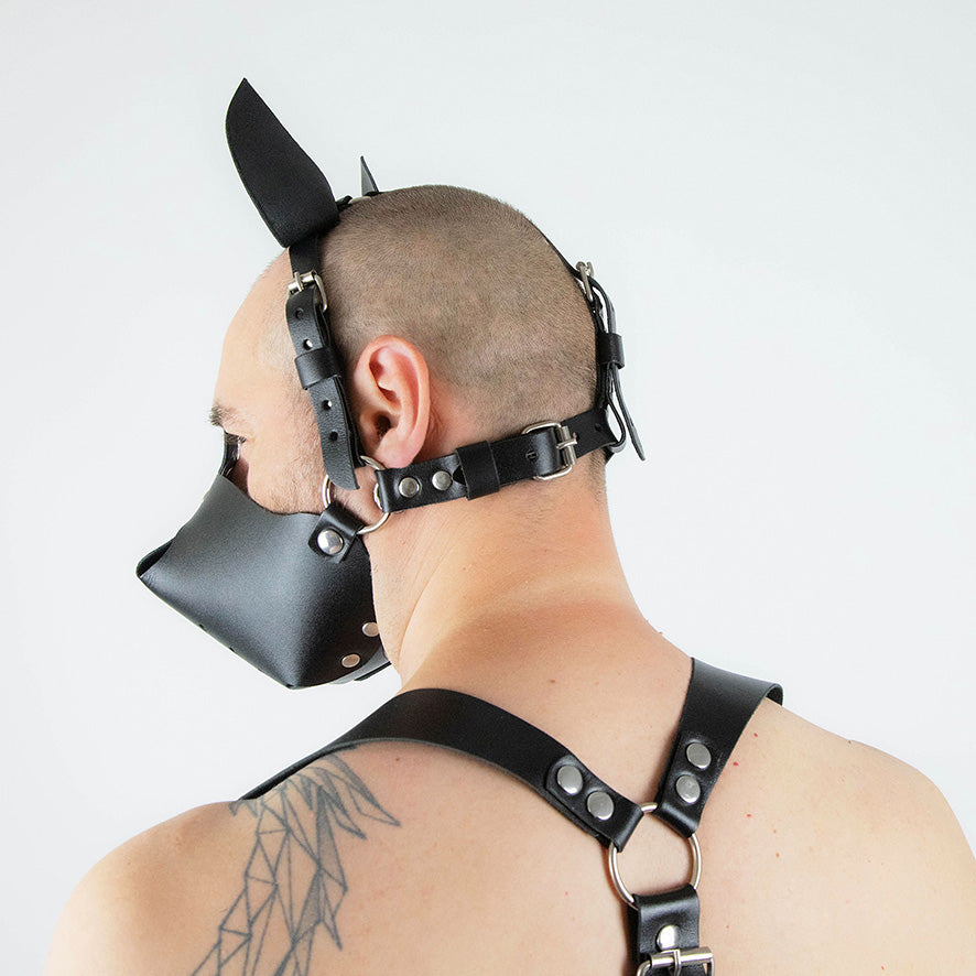 BDSM dog mask