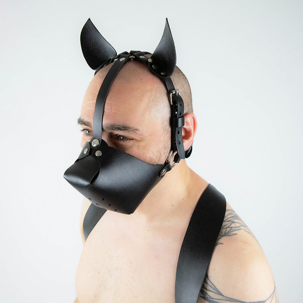 Leather dog mask